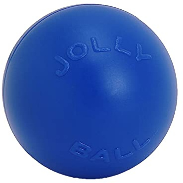 Jolly Pets Push-n-Play Ball Dog Toy, 10 Inches/Large, Blue