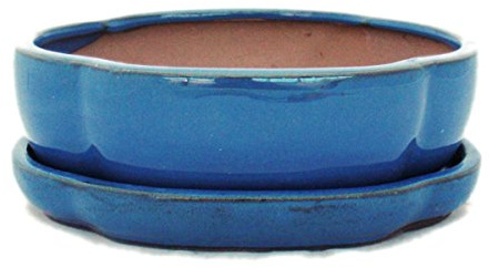 exotenhjärta bonsai med underlägg stor 3 – blå – haitang/oval – modell I5 – L 17 cm – B 14 cm – H 5,5 cm