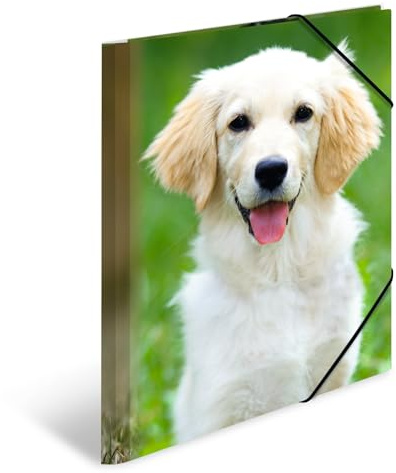 HERMA Elastic Folder Animals with Dogs Motif, A4, Sturdy Plastic, with Inner Print, 1 Span Folder