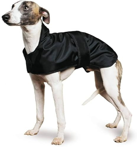 Ancol Muddy Paws Greyhound Whippet Coat, Medium(43 cm), Black