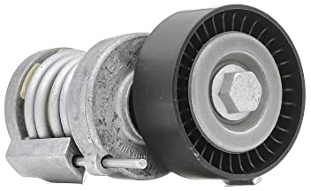 INA 534 0123 20 Braccio tenditore Cinghia Poly-V