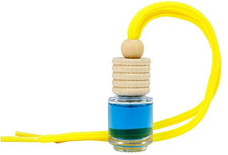 Paradise Scents PER80163 Deodoranti per Auto, Azzurro