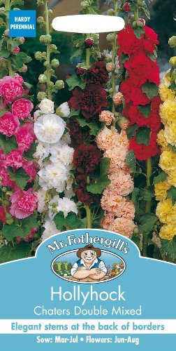 Mr Fothergills - Pictorial Packet - Flower - Hollyhock Chaters Double Mixed - 50 Seeds
