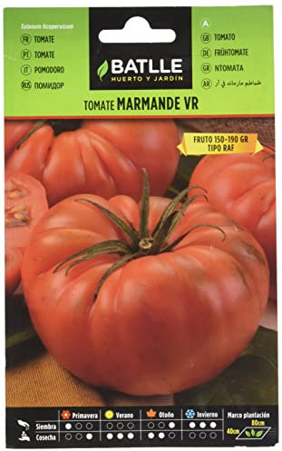 Semillas Batlle Tomate MARMANDE VR Type Hollande