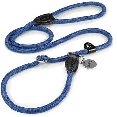 lionto Retrieverleine robust und wetterfest für Hunde Aller Größen, schnell anzulegende Hundeleine und Halsband in Einem, 170 cm, fellschonende Führleine mit integriertem Zugstopp, vegan, blau