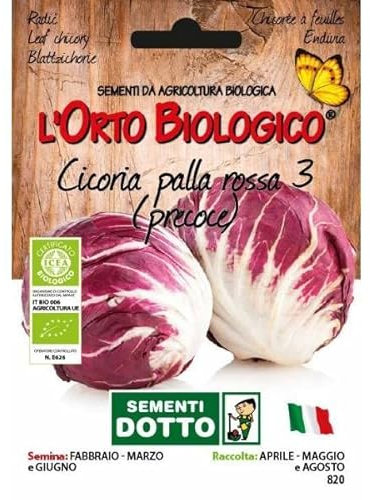 Idroponica Semi biologici di Cicoria Palla Rossa 3 Precoce
