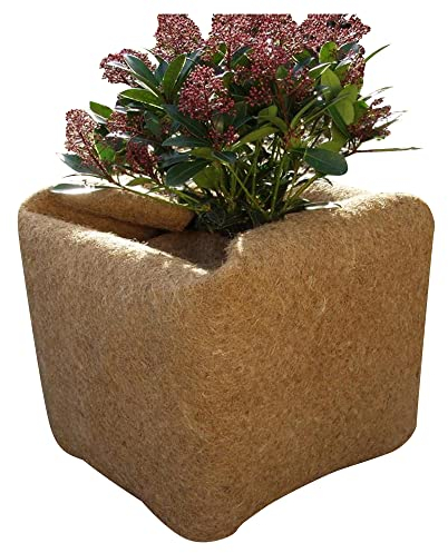 Noor 150001 - Coco estera de coco, marrón, 0,5 x 1,5 m