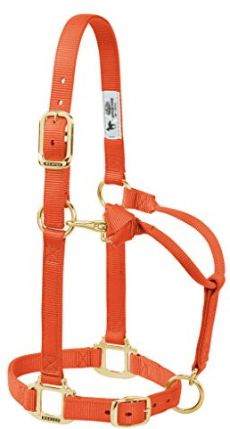 Weaver Leather Original justerbar hästgrimma i nylon, normalstor häst, orange
