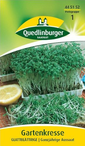 Cresson de jardin à feuilles lisses.