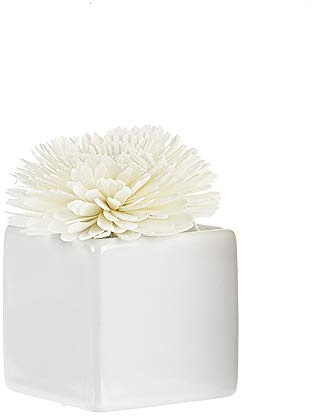 Goa Clem - Céramique Blanche Fleur De Goatier - Taille : 6 X 6 Cm
