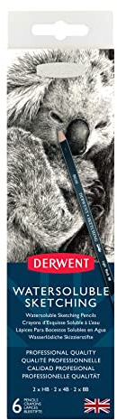 Derwent 0700837 Watersoluble Sketching Pencils, Drawing & Writing, Set Of 6, Includes 3 Degrees (HB, 4B, 8B) & Pencil Sharpener, Ideal For Sketching, Professional Quality,Black