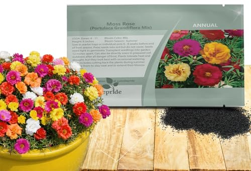 Outsidepride Mixed Moss Rose Seeds - 10000 Pcs Annual, Drought & Heat Tolerant, Pollinator Friendly Ground Cover Seeds for Planting w/Vibrant Blooms & Succulent Foliage, Ideal for Xeriscaping