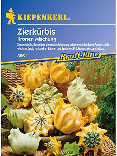 Cucurbita pepo Zierkürbis Kronenmischung