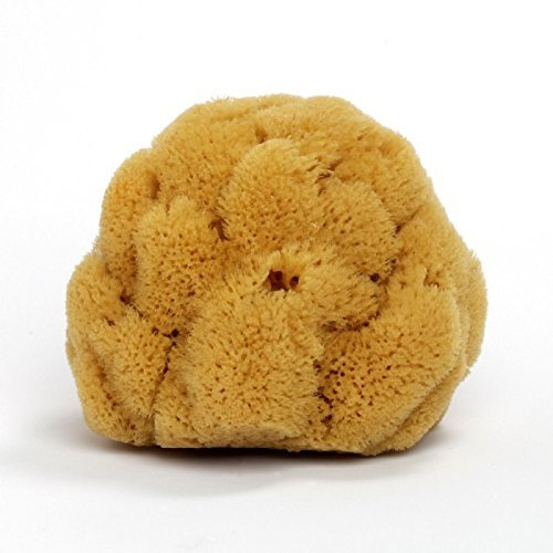 Natural Sea Sponge, ca. 12 cm - Maison du Savon de Marseille