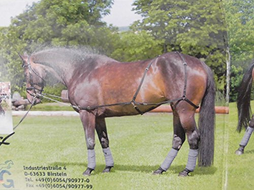 Longier/Trainingssystem