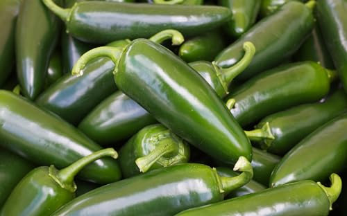 JustSeed - Vegetable - Pepper - Jalapeno - 60 Seed - Economy Pack