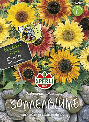 Sonnenblume Farbenpracht, Mischung