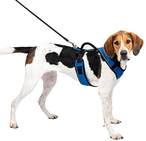 PetSafe EasySport Harnais, Grand, Bleu