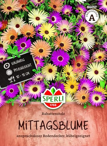 Sperli Mittagsblumensamen Rabattenstolz 86057 - Blumensamen einjährig, farbenprächtiger Bodendecker für sonnige Beete und Gefäße, 10–15 cm, Blüte Juni bis Oktober