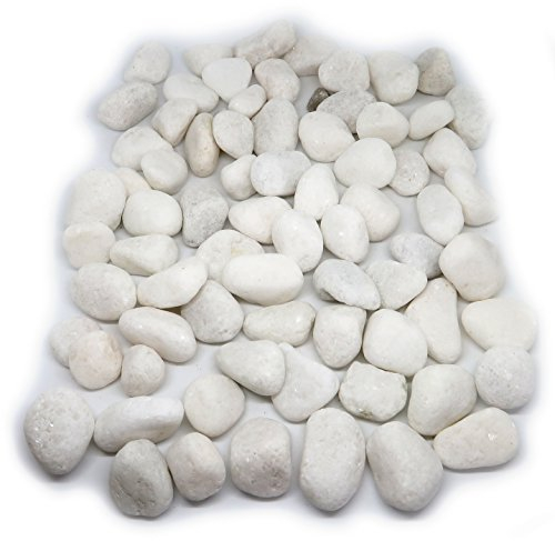 1Buy UK 1kg New White Natural Decorative Stones Pebbles Craft Table Decoration Pot Vase Fillers Garden Weddings Rocks Aquarium