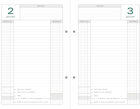 Exacompta - Recharge Agenda perpétuel de Caisse 14,8x21cm - 12 feuillets