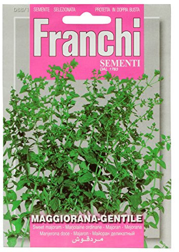 Franchi Sweet Marjoram
