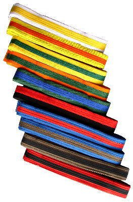 S.B.J - Sportland Budogürtel/Kampfsportgürtel Weiss-gelb, 240 cm