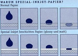 Print4Life P4L - 50 Bl. Overheadfolie Overhead OHP Folien Inkjet