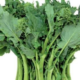 PREMIER SEEDS DIRECT - BROCCOLETTO - QUARANTINO RICCIO - 3 GM ~ 2050 FINEST SEEDS