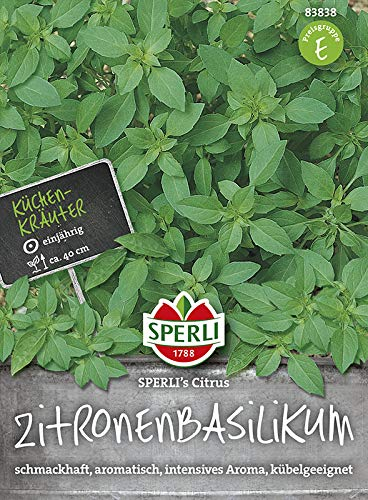 Sperli-Samen Zitronenbasilikum