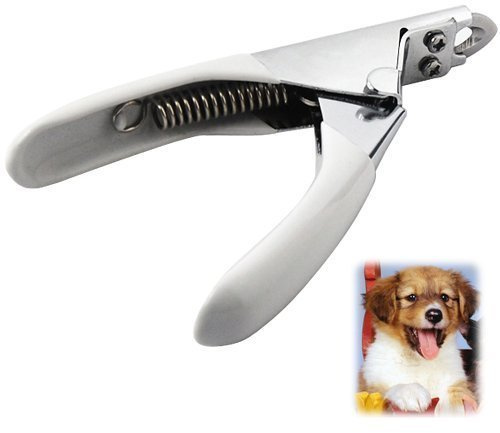 Accessotech Guillotine Pet Nail Clippers – Stainless Steel Claw Trimmer for Dogs, Cats, Birds, Rabbits & Small Pets – Spring-Action, Ultra-Sharp, Non-Scratch, Safe Home Grooming Tool (Grey)