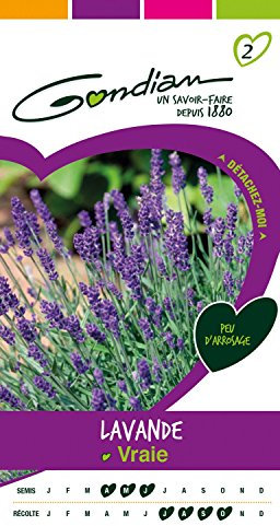 Gondian 166975 Semences-Lavande Vraie-CP 2, Violet, 1x8.1x16 cm