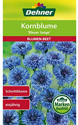 Dehner Blumen-Saatgut, Kornblume, Blauer Junge, 5er Pack (5 x 2 g)