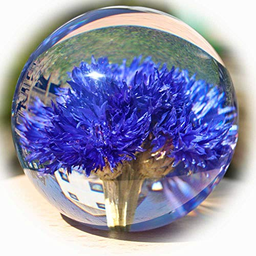 Briefbeschwerer mit Kornblume