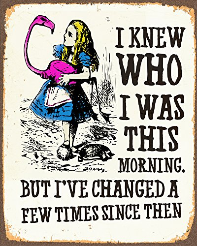 Alice in Wonderland I've Changed Metal Sign 6x8inches Plaque Vintage Retro Poster Art Picture Print TN1033