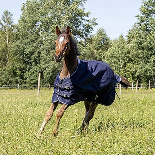 HKM 52666900.0011 Fohlendecke Professional mit Polarfleecefutter, dunkelblau