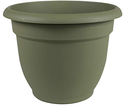 Bloem Ariana Pot Planter: 16 - Living Green - Durable Resin Pot, for Indoor and Outdoor Use, Gardening, Self Watering Disk Included, 6 Gallon Capacity