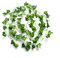 Best Artificial 200cm / 7ft Ivy Garland Hanging Vine String Plant (Dark English - IL02)