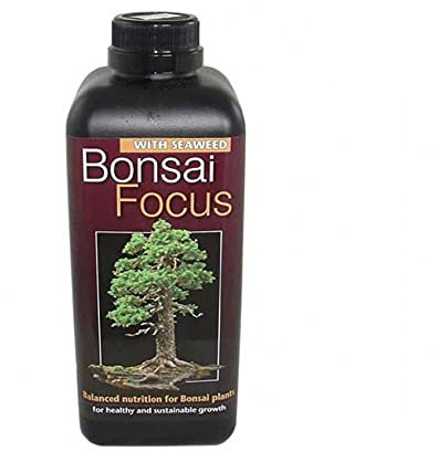 Bonsai Focus 300ml - Liquid Bonsai Feed