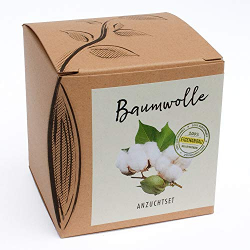 Geschenk-Anzuchtset Baumwolle, mit Samen der Topfbaumwolle, tolle Geschenk-Idee aus dem naturkraftwerk