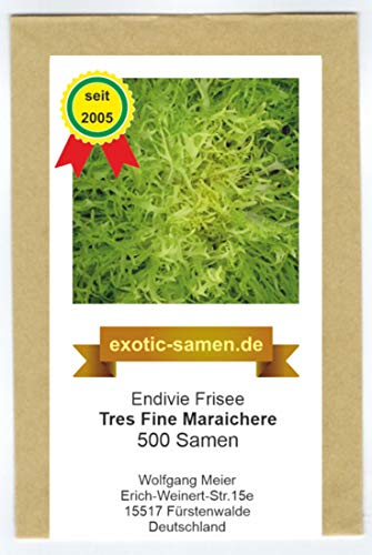 Frisee Endivie - Tres Fine Maraichere - 500 Samen