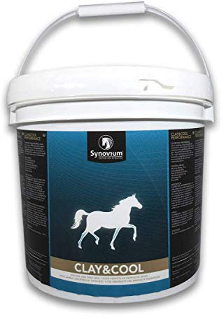 SYNOVIUM Clay & Cool (5000 Gramm)