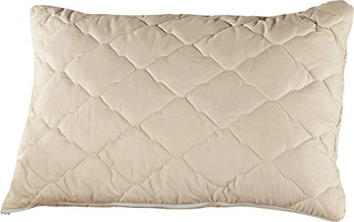 Irisette Hirsekissen mit Bezug aus Baumwoll-Perkal 40X60 cm, 1780G