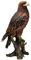 Vivid Arts Gartenfigur, Gartendekoration Steinadler aus Kunstharz