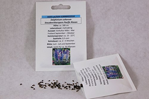 Staudenrittersporn Pacific Riesen