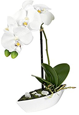 ROLLER Orchidee-Phalaenopis - creme - Kunstpflanze