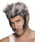 Boland 85989 - Perücke Werwolf, grau-weiß, aus Polyester, mit Koteletten, Horror-Kostüm, Karneval, Themenparty, Mottoparty