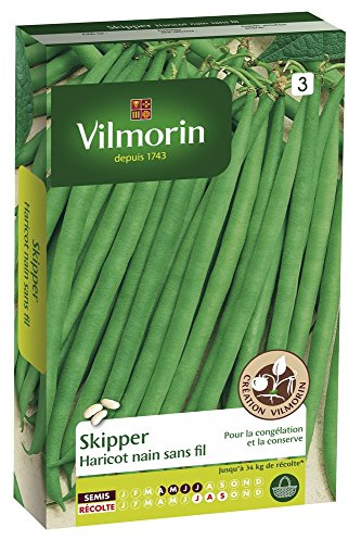 Vilmorin 1141754 Pack de Graines Haricot Skipper Création Recommande pour Congélation
