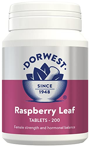 Dorwest Raspberry Leaf Tablets for Dogs And Cats, 200 Tablets, Pregnancy Support For Pets – For Natural Hormonal Balance and Phantom Pregnancies