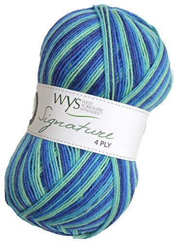 WYS Signature 4 ply Cocktails Knitting Wool Yarn 100g - 831 Blue Lagoon